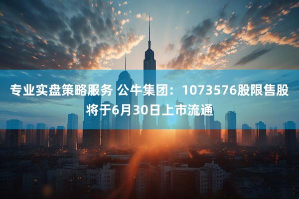 专业实盘策略服务 公牛集团：1073576股限售股将于6月30日上市流通