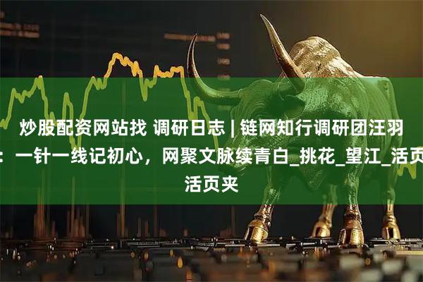 炒股配资网站找 调研日志 | 链网知行调研团汪羽蒙：一针一线记初心，网聚文脉续青白_挑花_望江_活页夹